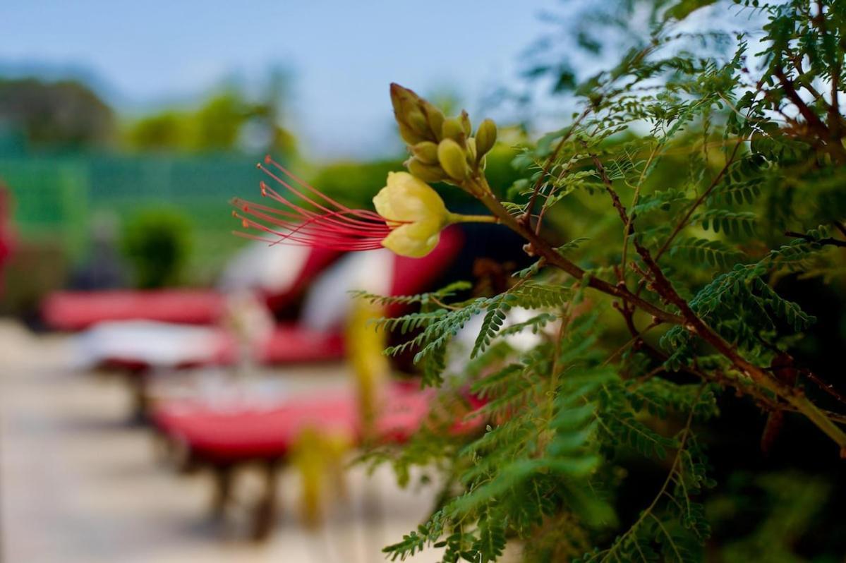 Villa Casa Zeus - No Stress Holidays *
